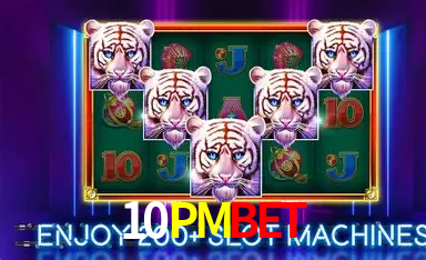 10PMBET: A Experiência de Casino com Jogos de Mesa ao Vivo